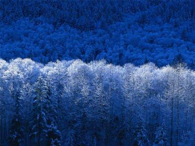 INVIERNO FRIO